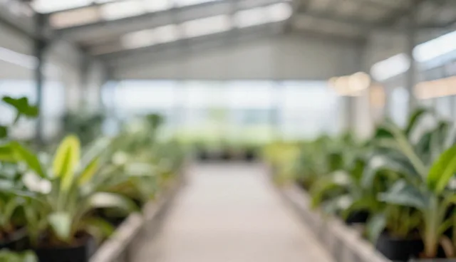 文化发展企业活动执行检查要点解析